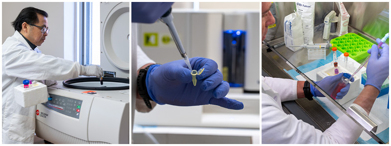 Photos, left to right: a person puts a test tube in a centrifuge; gloved hands holding a pipette; a person pipettes in a vent hood.